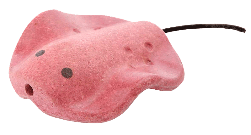 PIGROKKE FLØJTE